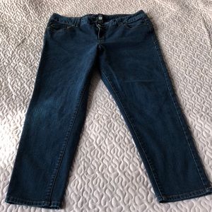 Lane  Bryant Skinny Jeans